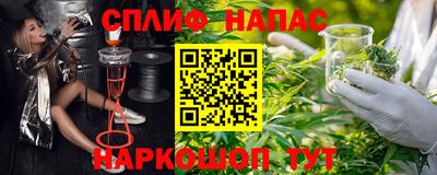 индика Мариинск