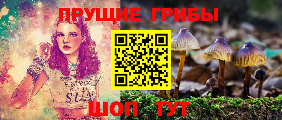 Псилоцибиновые грибы прущие грибы Кингисепп