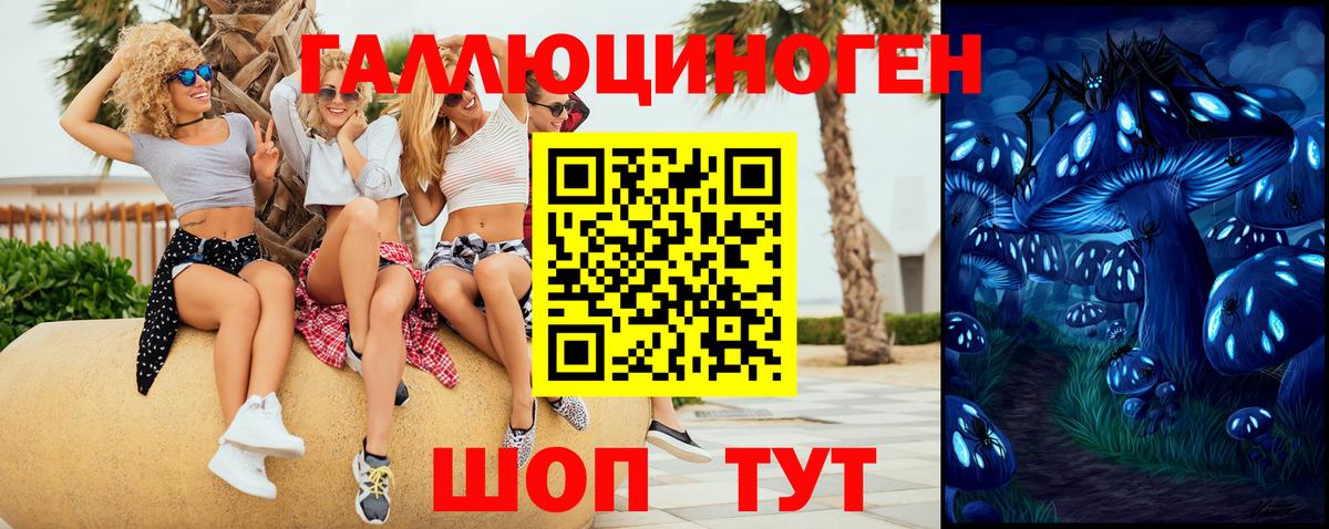 Галлюциногенные грибы прущие грибы  наркошоп  Кингисепп 